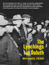 The Lynchings in Duluth (eBook)